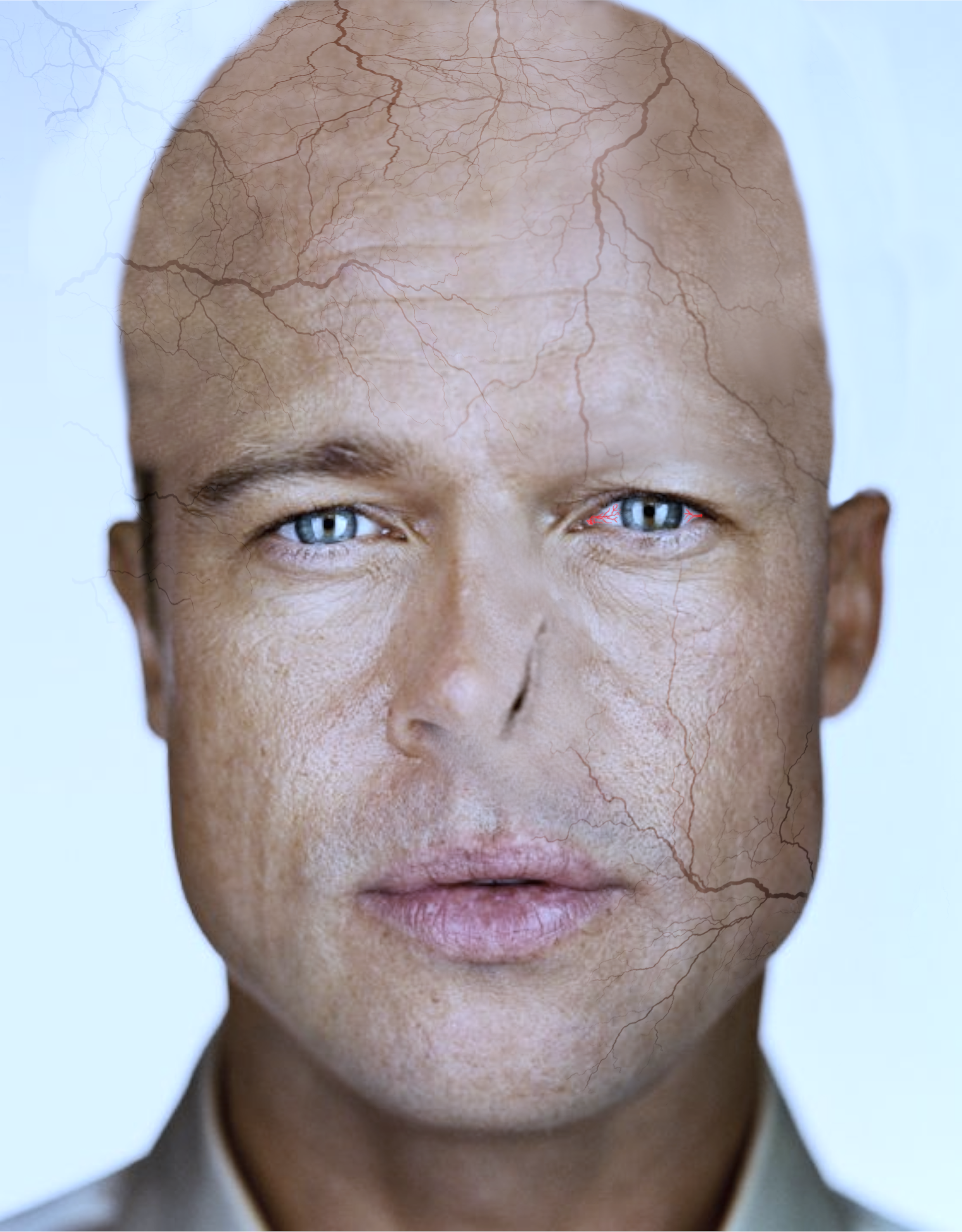 Brad Pitt as Voldemort